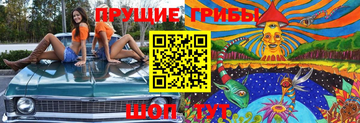 Галлюциногенные грибы мухоморы Димитровград