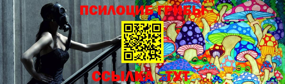 Галлюциногенные грибы мицелий  Вход с VPN  Псилоцибиновые грибы мицелий  Димитровград 