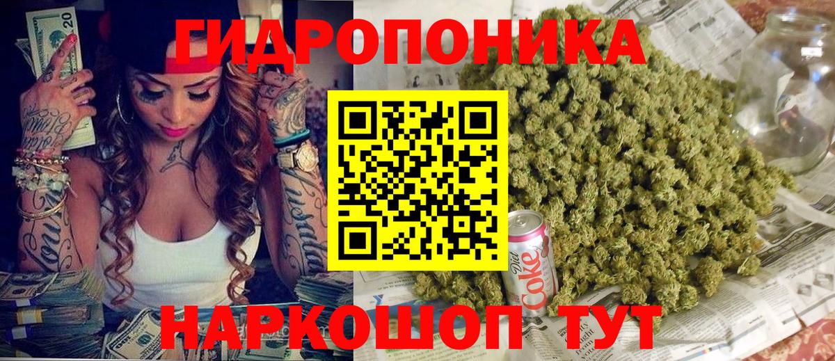 Шишки марихуана семена Димитровград